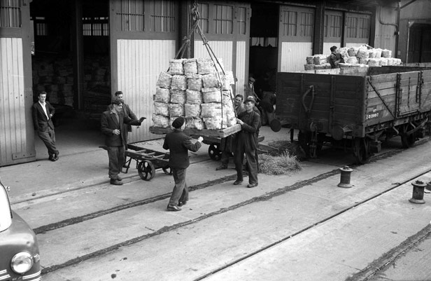 Loading Italian potatoes, 5 May 1955