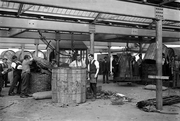 Weighing and sampling Tobacco, 1920