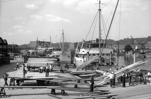 Two ships discharging timber at Baltic Wharf