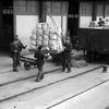 Loading Italian potatoes, 5 May 1955