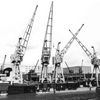Cranes on Wapping Railway Wharf, City Dock, 1965