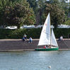 Sailing dinghies