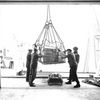 Discharging condensed milk at Princes East Wharf, April 1952