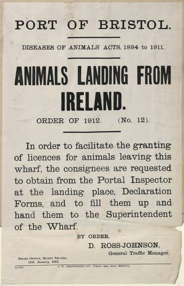 Port of Bristol Animals Landing from Ireland