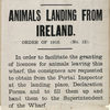 Port of Bristol Animals Landing from Ireland