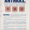 Bristol Docks 1900s Anthrax Notice
